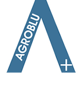 azienda